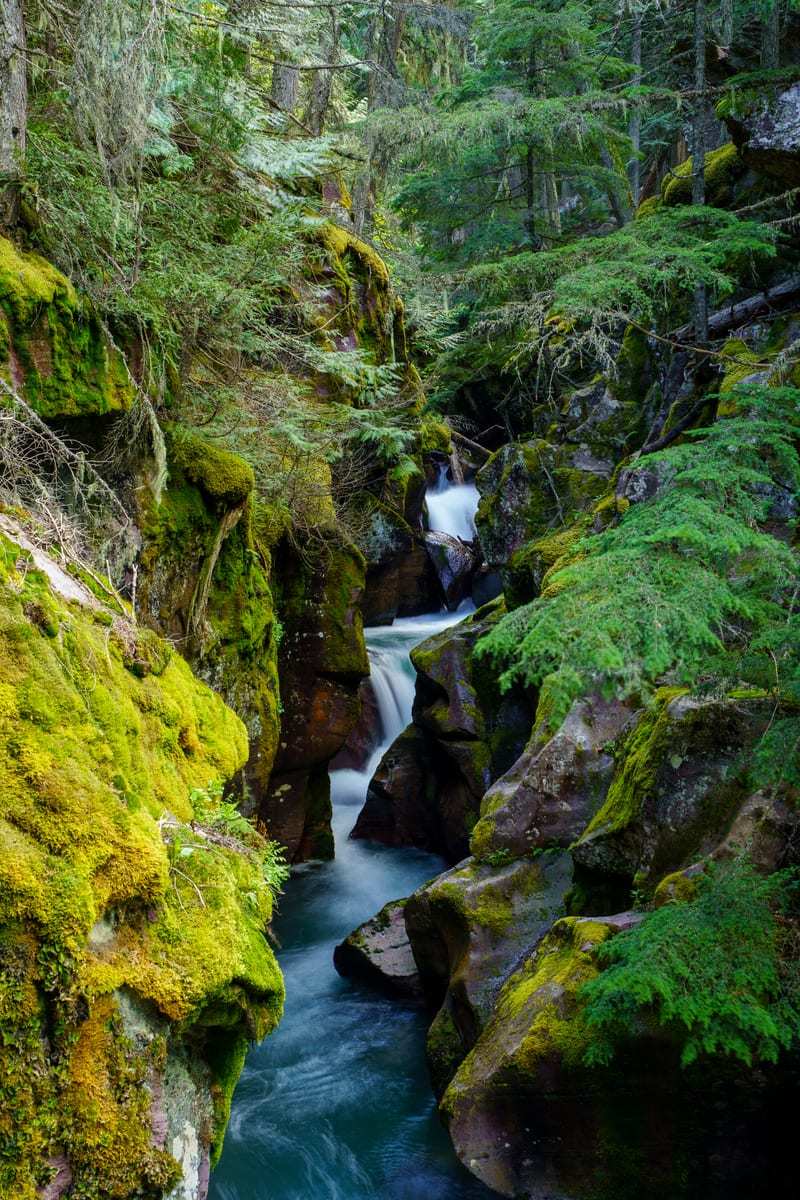 Avalanche Creek Gorge, Glacier National Park, Montana