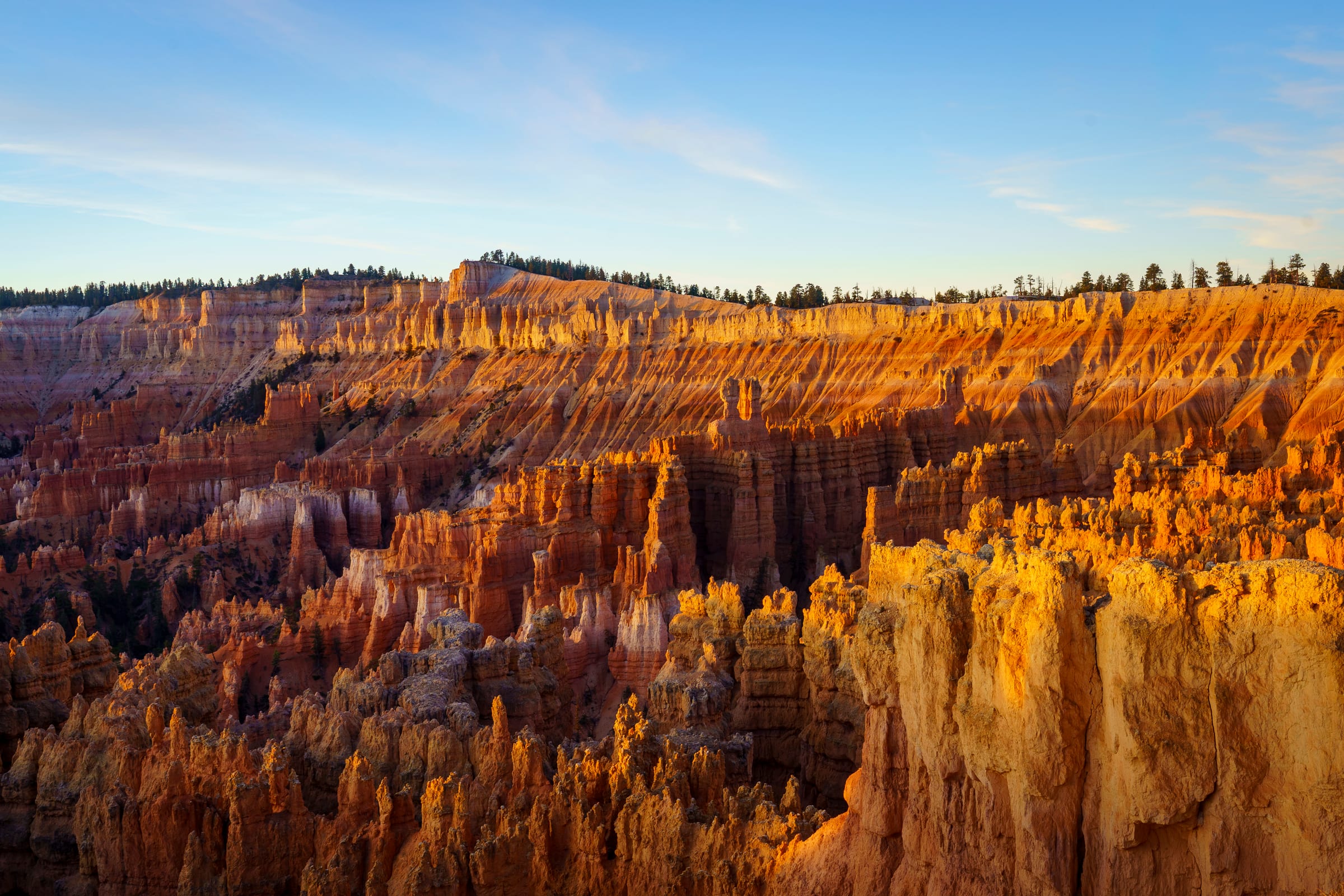 First Light on the Amphitheater, Bryce Canyon National Park, Utah