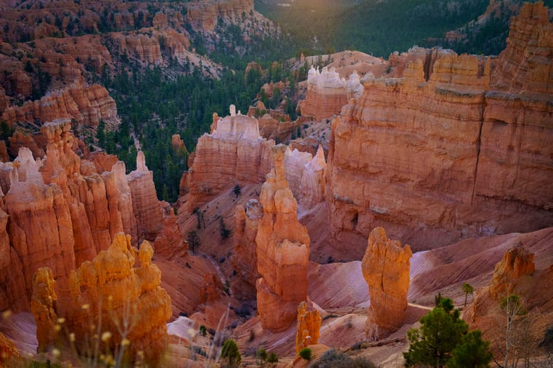 Hoodoos before Sunrise, Bryce Canyon National Park, Utah