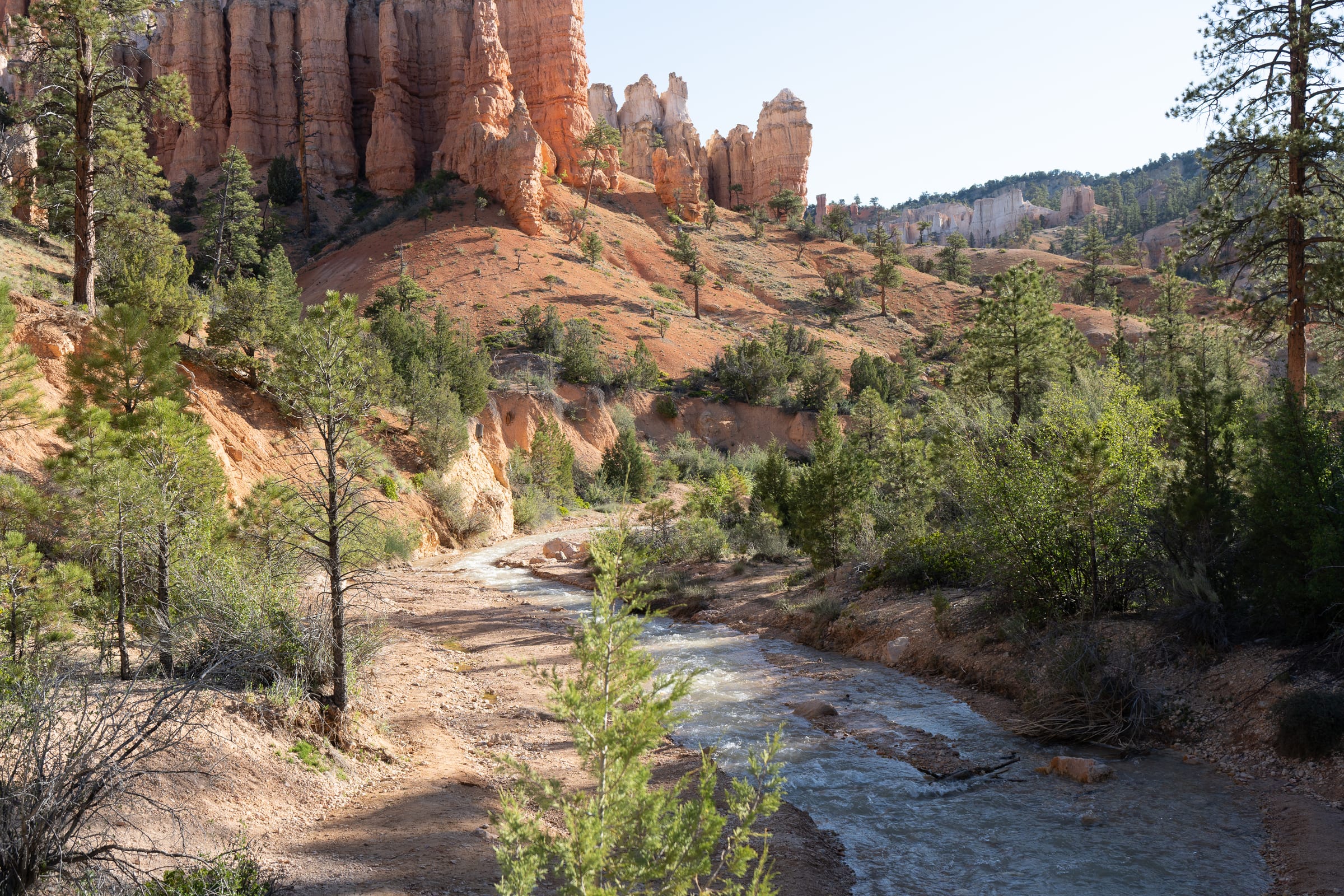 Mossy Cave Creek, Bryce Canyon National Park, Utah