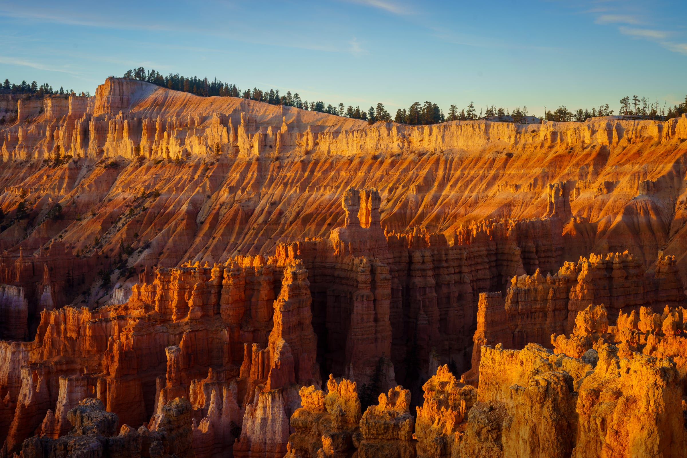 Amphitheater Wall at Sunrise, Bryce Canyon National Park, Utah