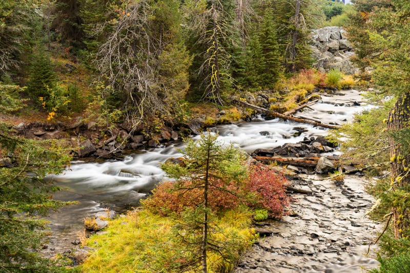 Cascade, Red Shrub and Fir, Buffalo River Dam, Island Park, Idaho