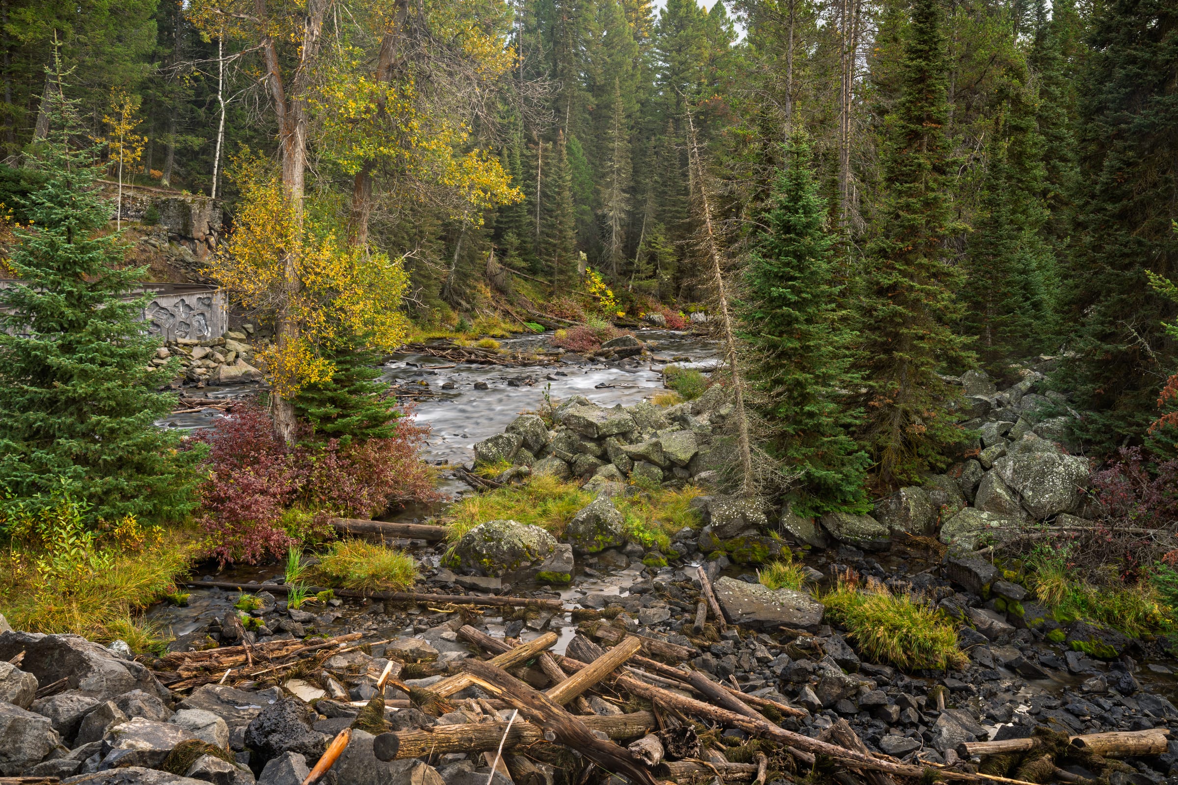 The Buffalo River through the Spruce, Buffalo River Dam, Island Park, Idaho