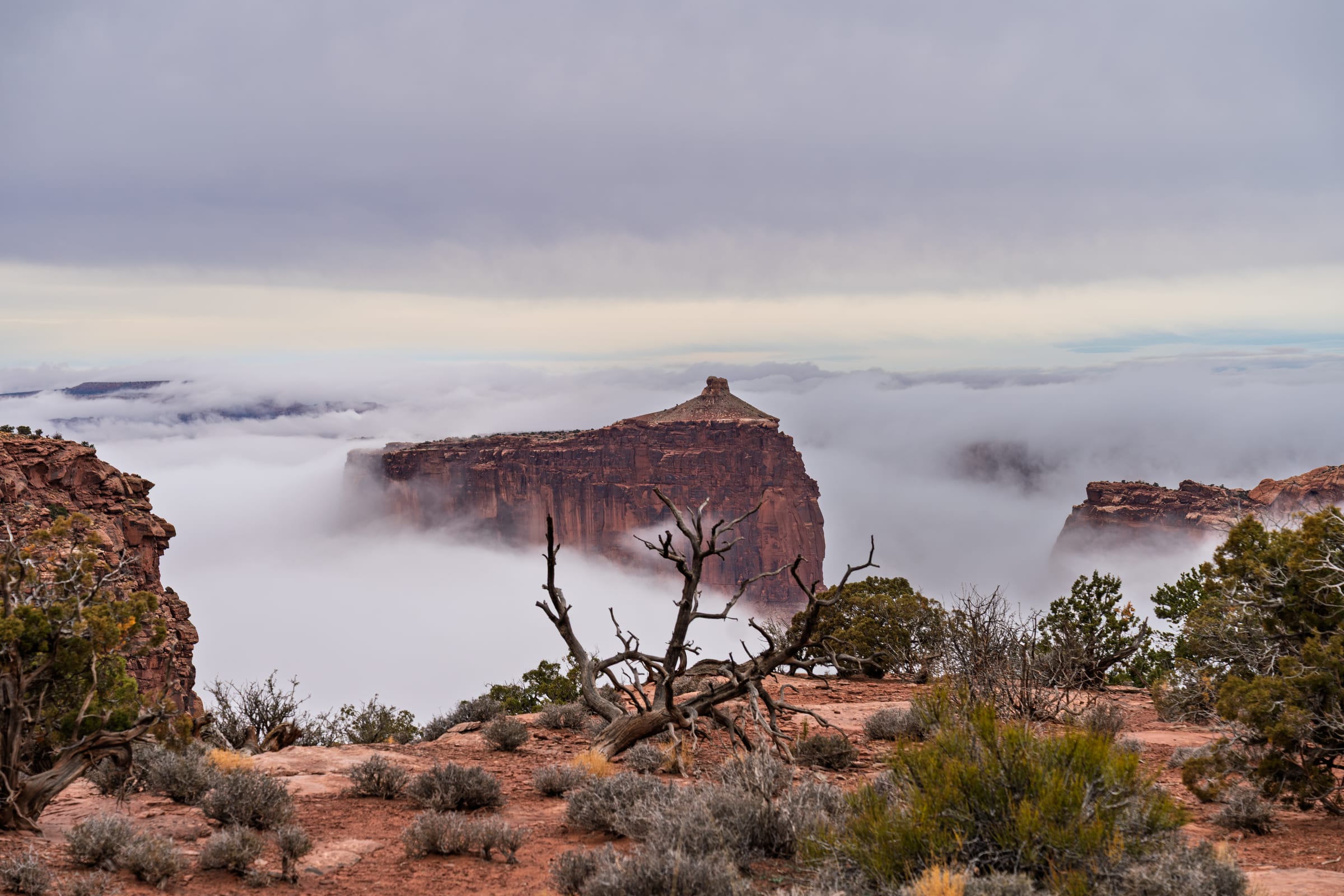 A Butte in a Sea of Fog, Dead Horse Point State Park, Utah
