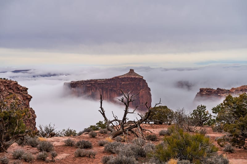 A Butte in a Sea of Fog, Dead Horse Point State Park, Utah