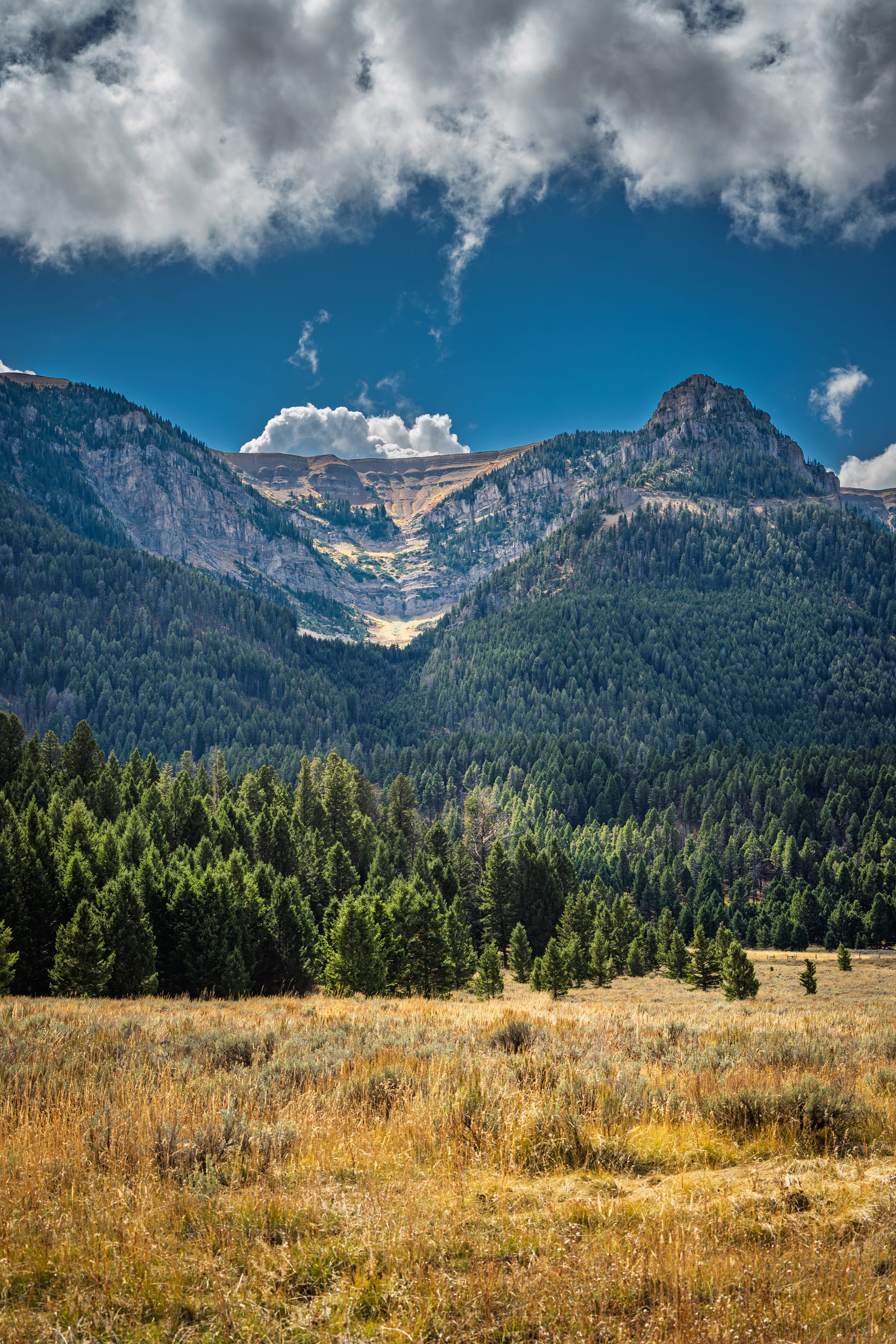 Cliffs above the Valley, Centennial Valley, Montana