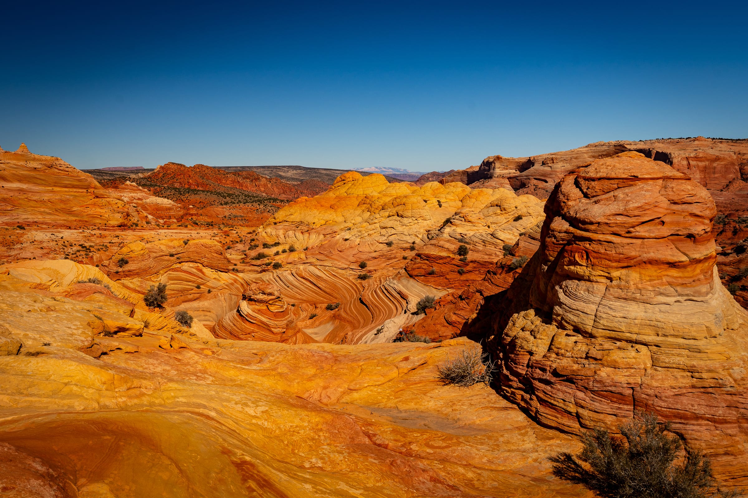 Coyote Buttes, Golden Hour, Coyote Buttes North, Arizona