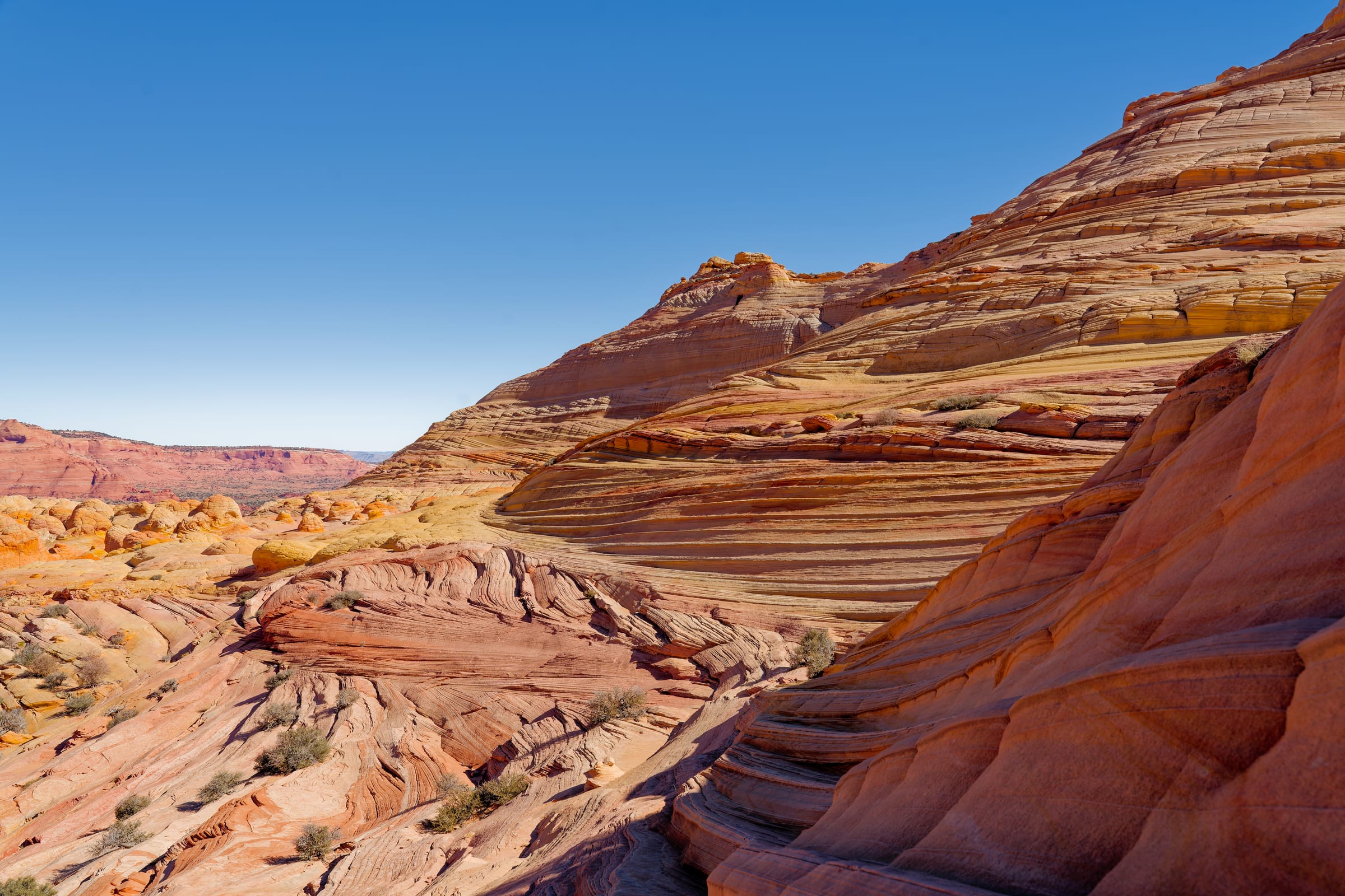 Crossbedded Fin, Coyote Buttes North, Arizona
