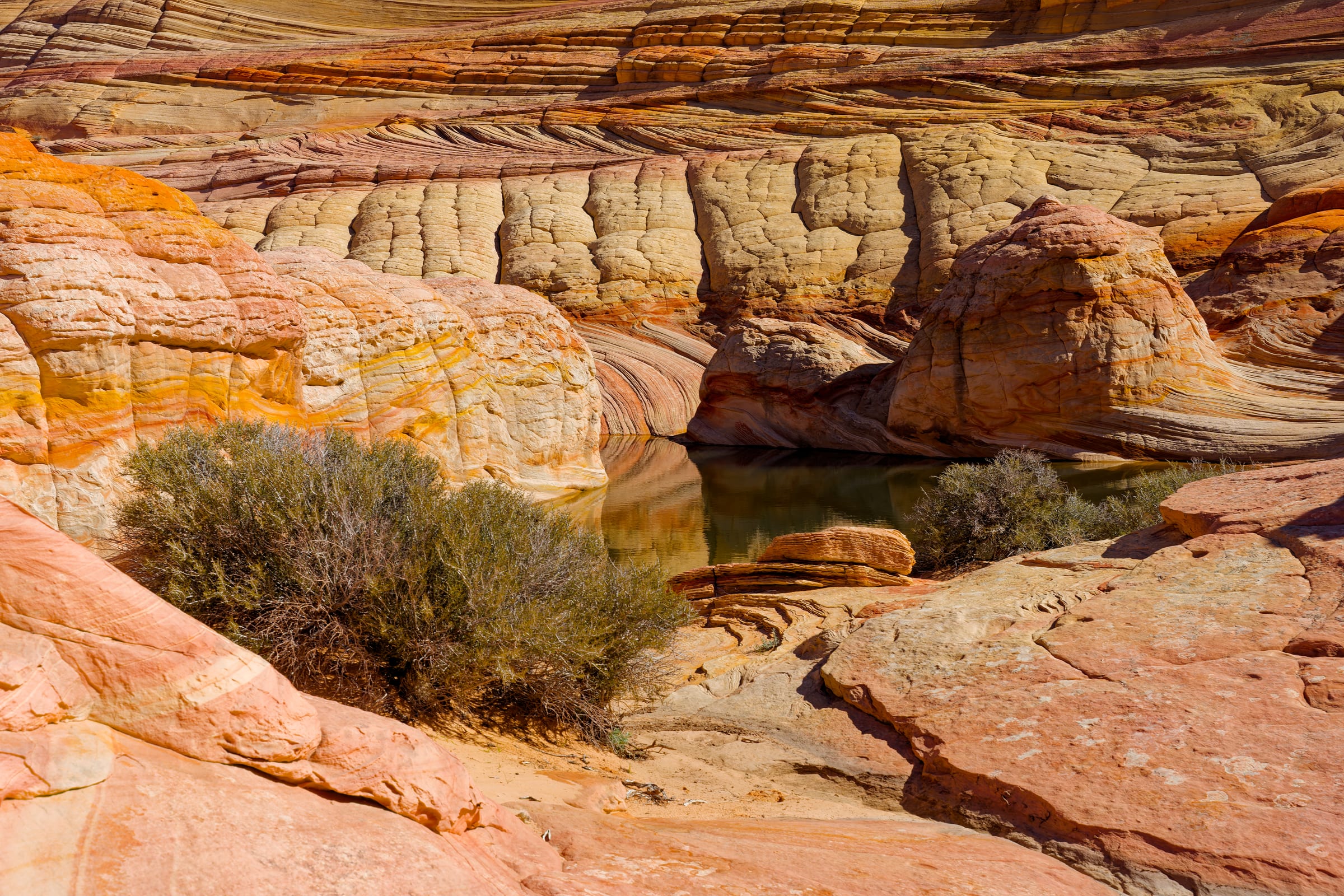 Pothole Pool, Coyote Buttes North, Arizona