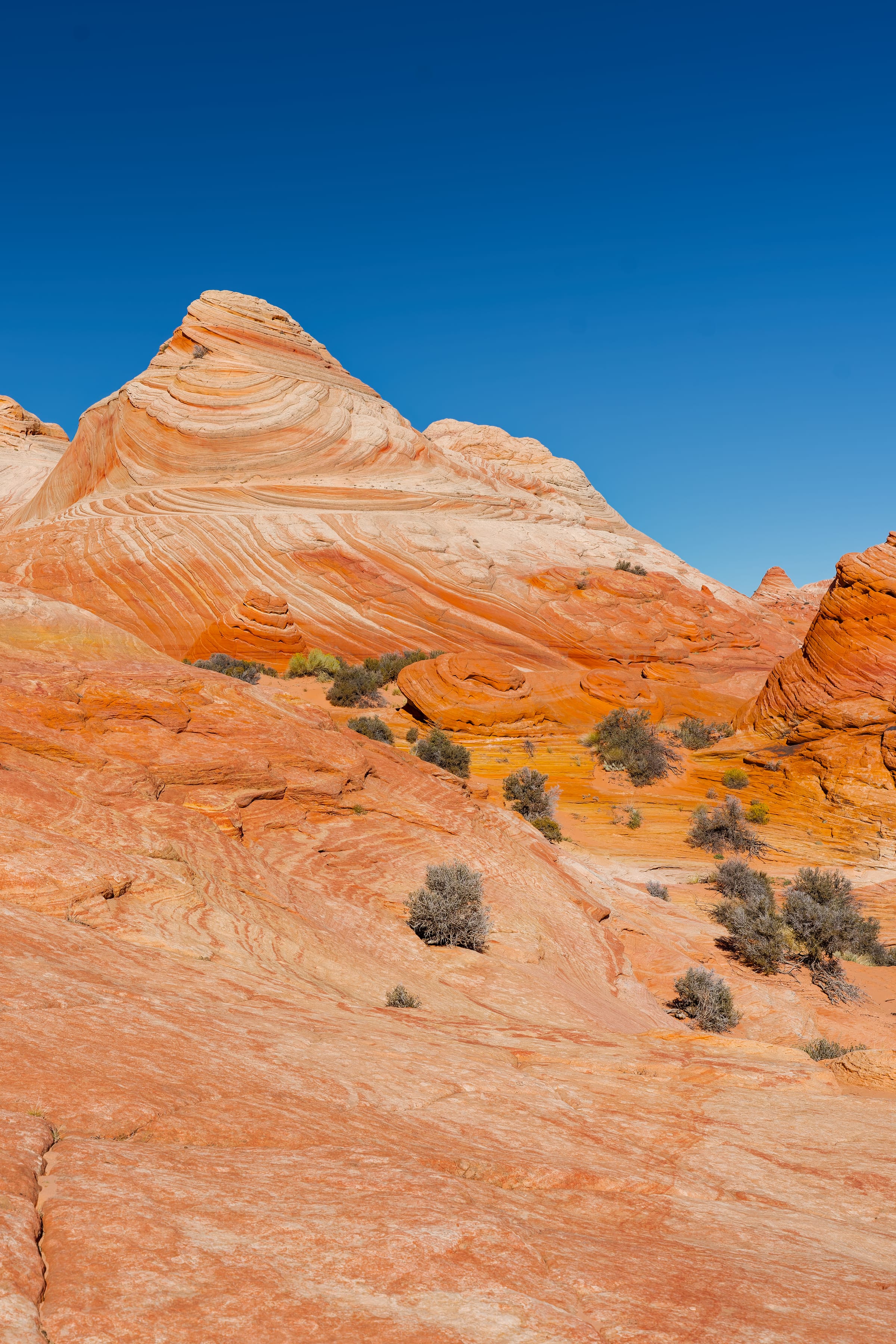Sandstone Peak, Coyote Buttes North, Arizona