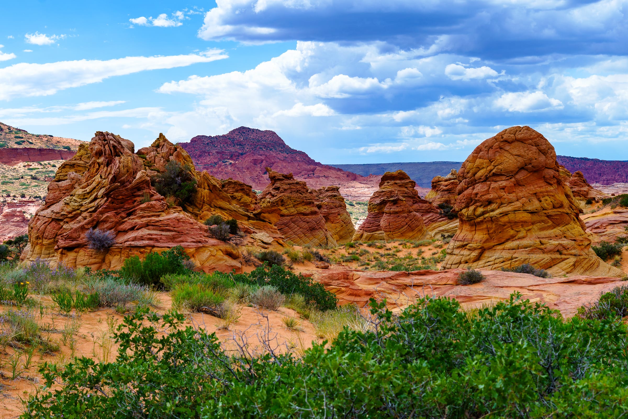 Sandstone and Spring Green, Coyote Buttes South, Arizona