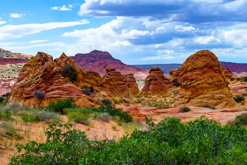 Sandstone and Spring Green, Coyote Buttes South, Arizona