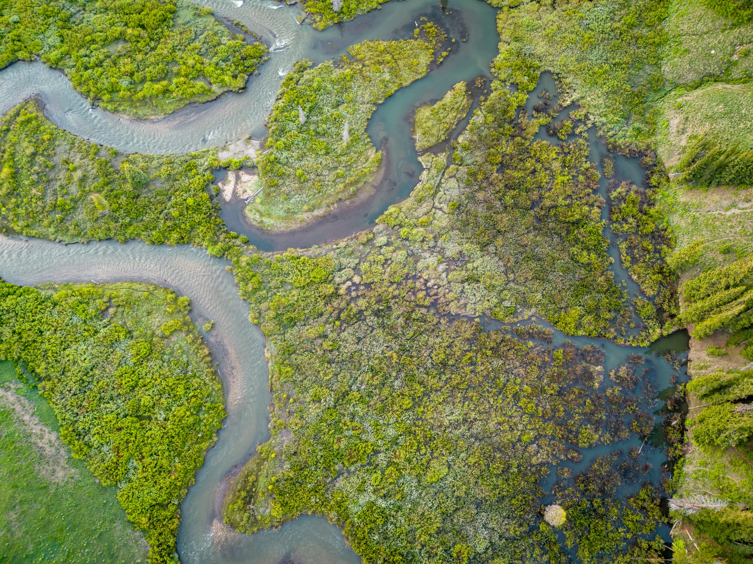 East River Meanders, Near Crested Butte, Colorado