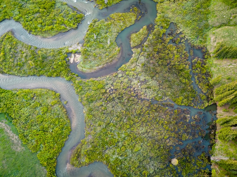East River Meanders, Near Crested Butte, Colorado