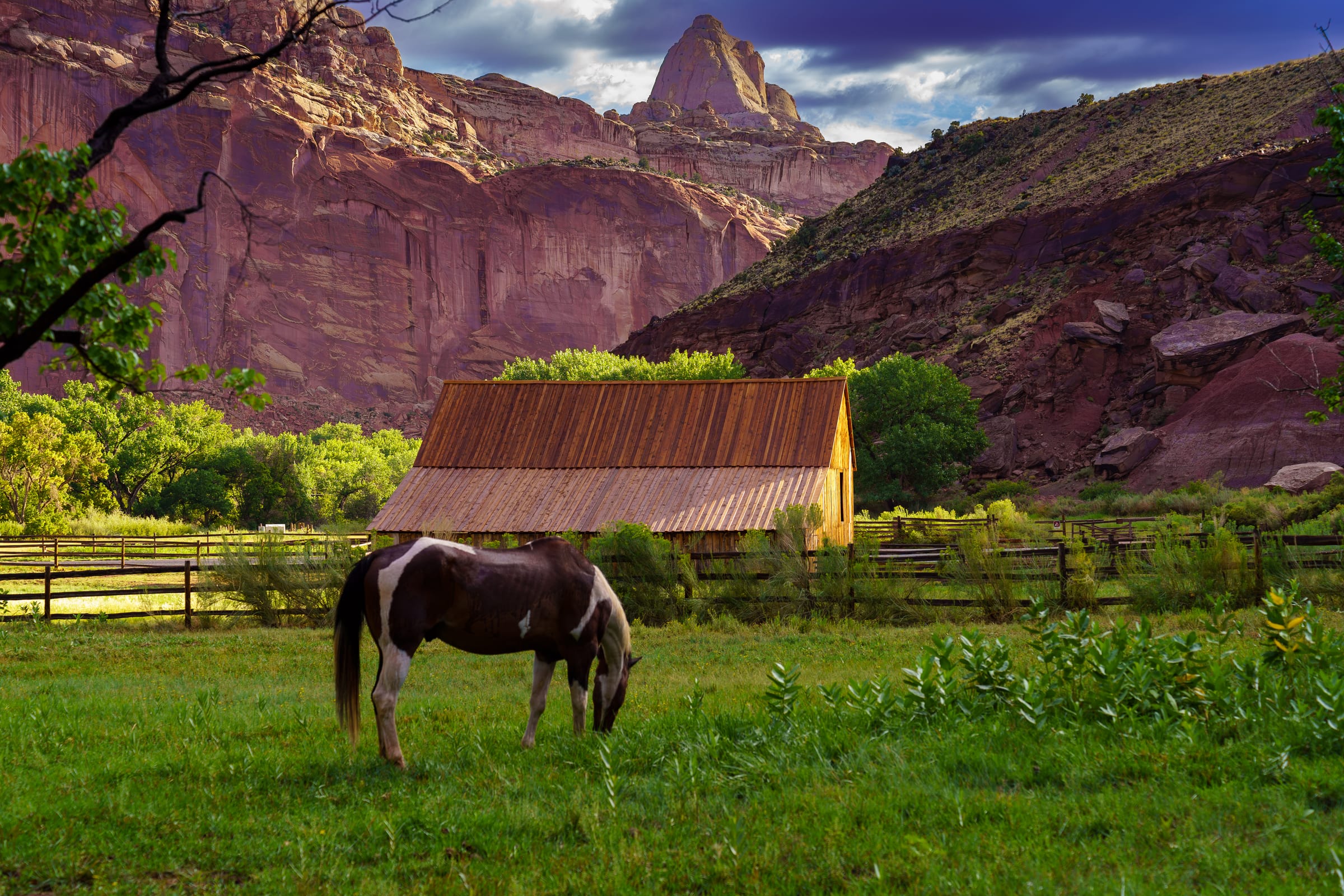 Horse at the Fruita Barn, Capitol Reef National Park, Utah