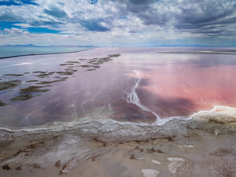Pink Brine, Great Salt Lake, Great Salt Lake, Utah