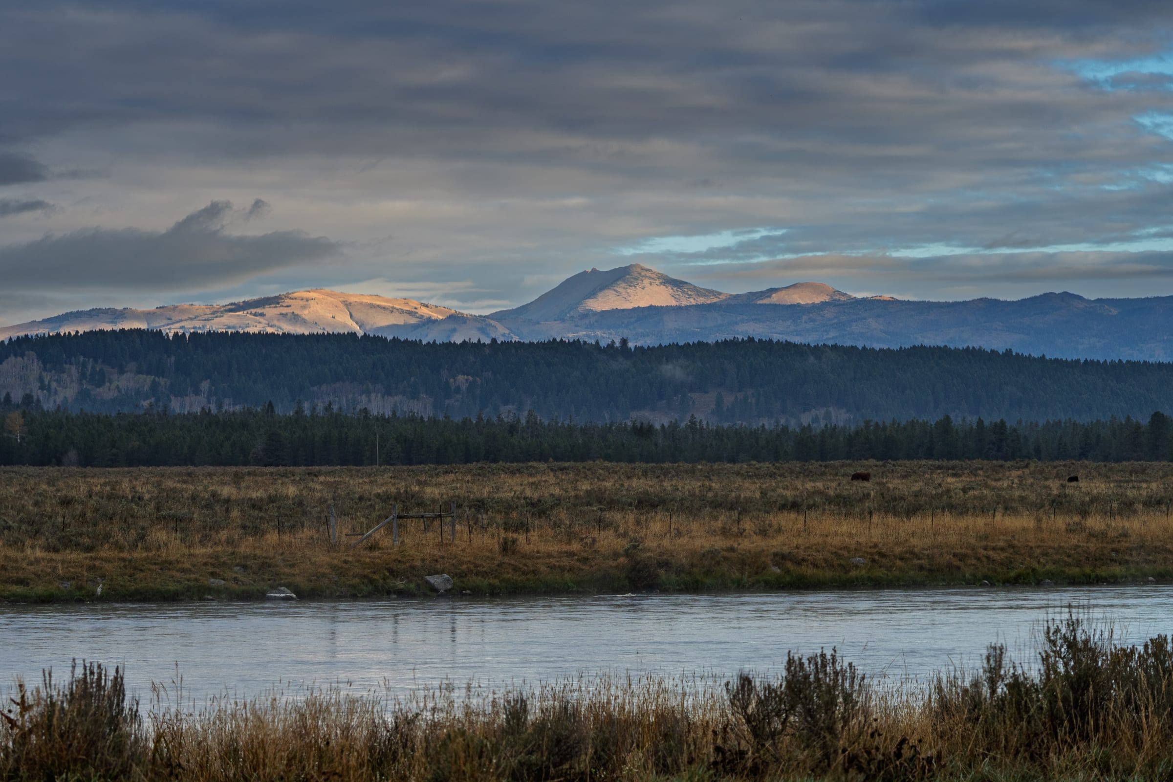First Light on the Ridge, Harriman State Park, Idaho