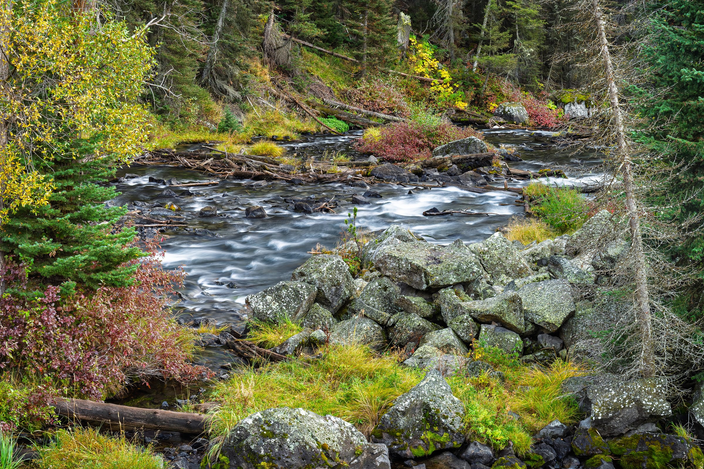 Henrys Fork in Box Canyon, Box Canyon, Island Park, Idaho