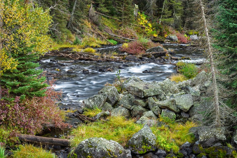 Henrys Fork in Box Canyon, Box Canyon, Island Park, Idaho
