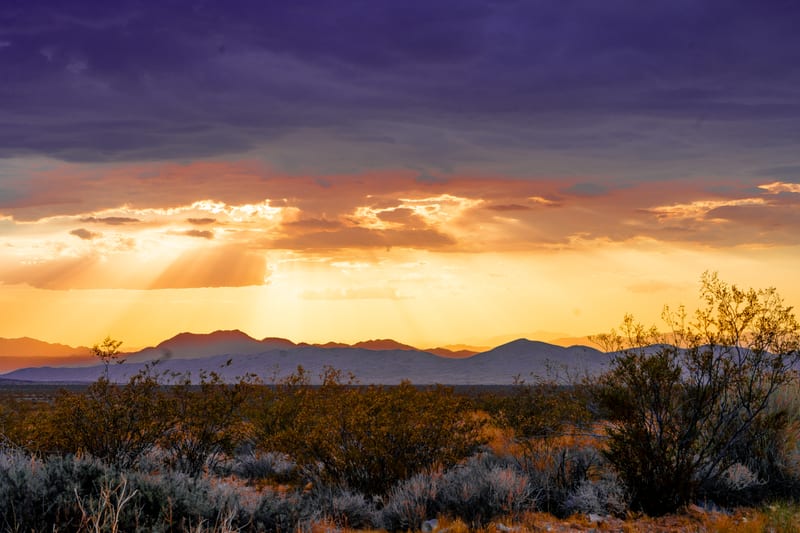 Desert Sunset Rays, Joshua Tree National Park, California