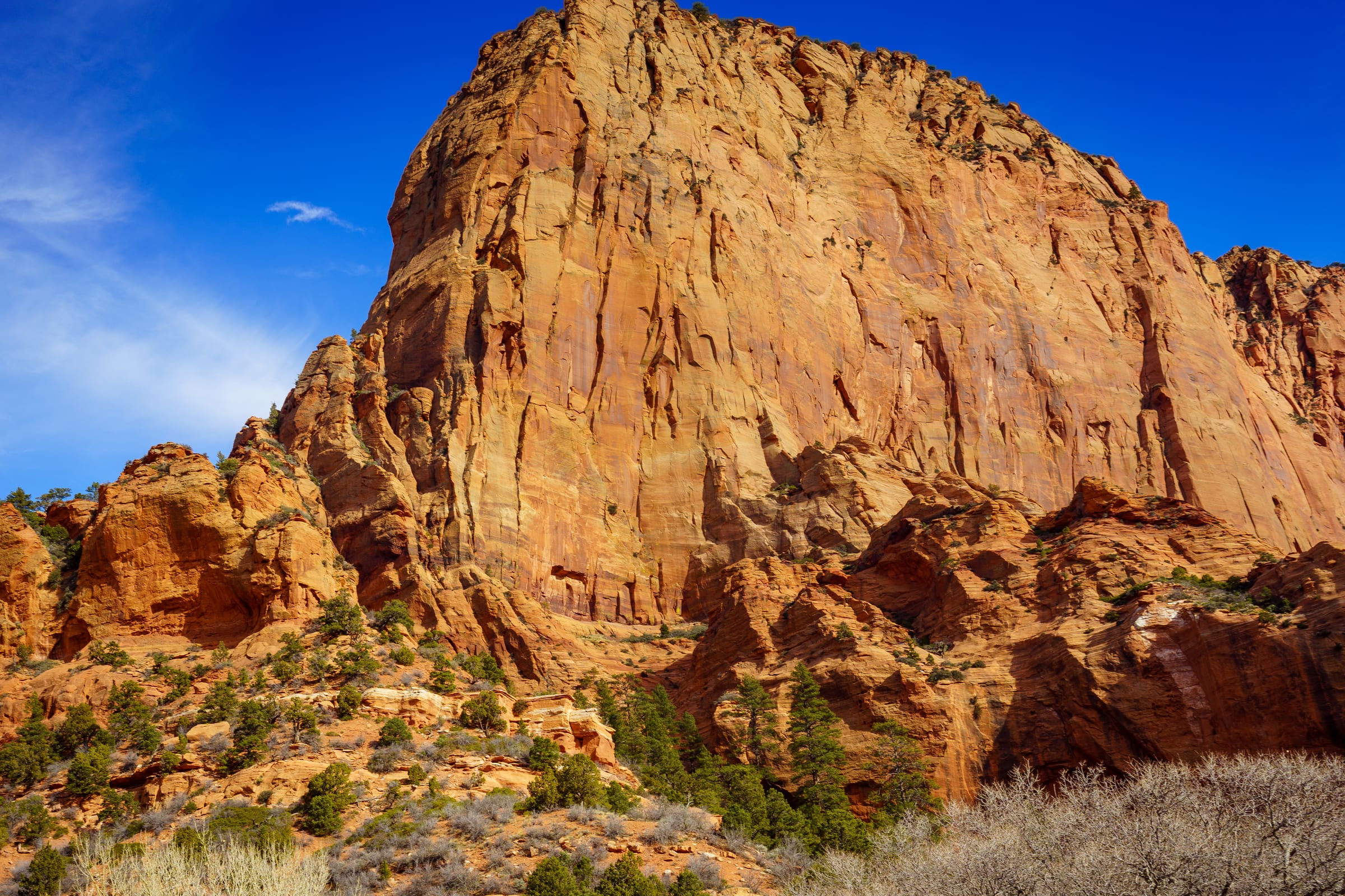 Kolob Canyons, December, Kolob Canyons, Zion National Park, Utah