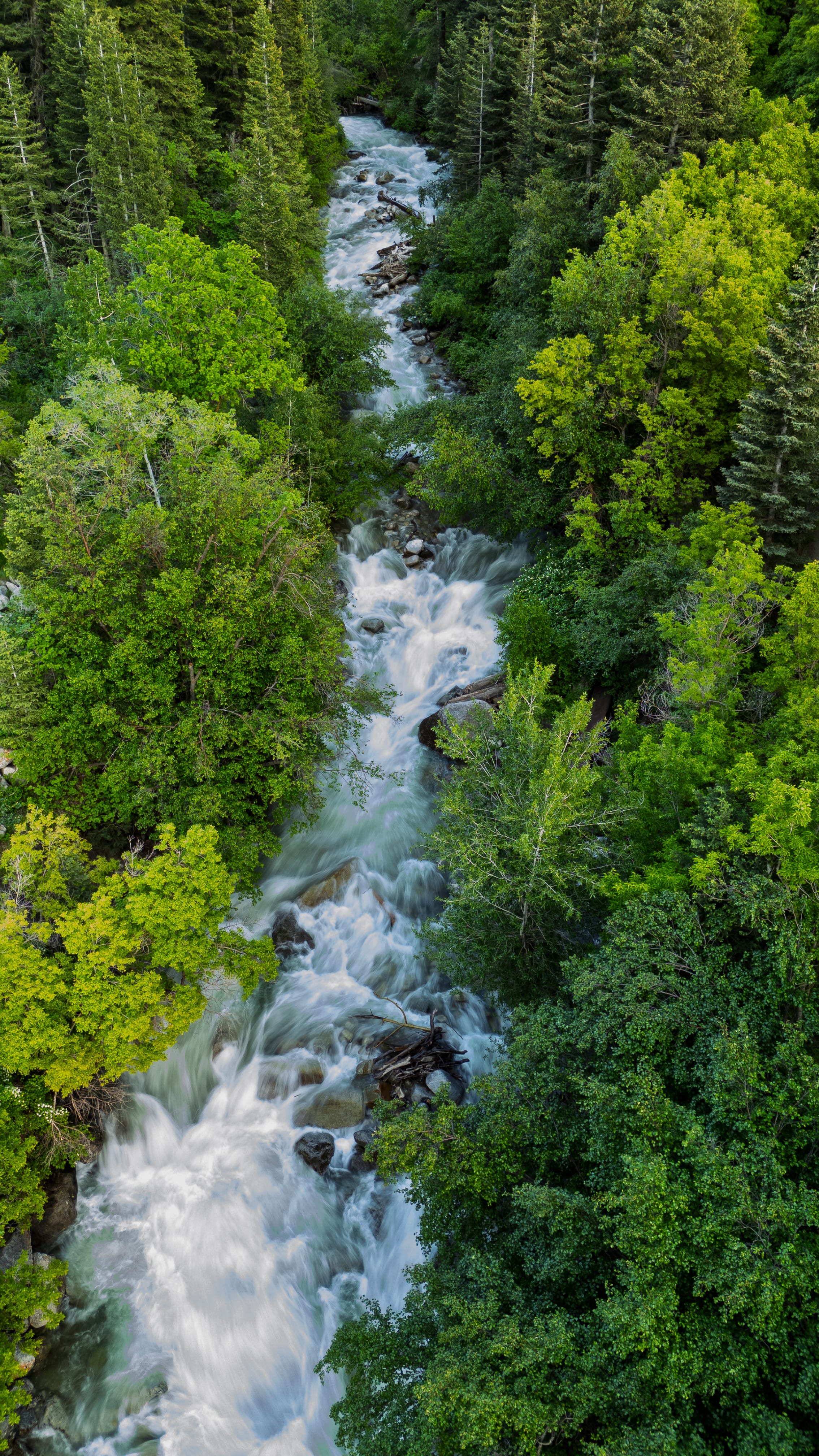 Little Cottonwood Creek from Above, Little Cottonwood Canyon, Utah