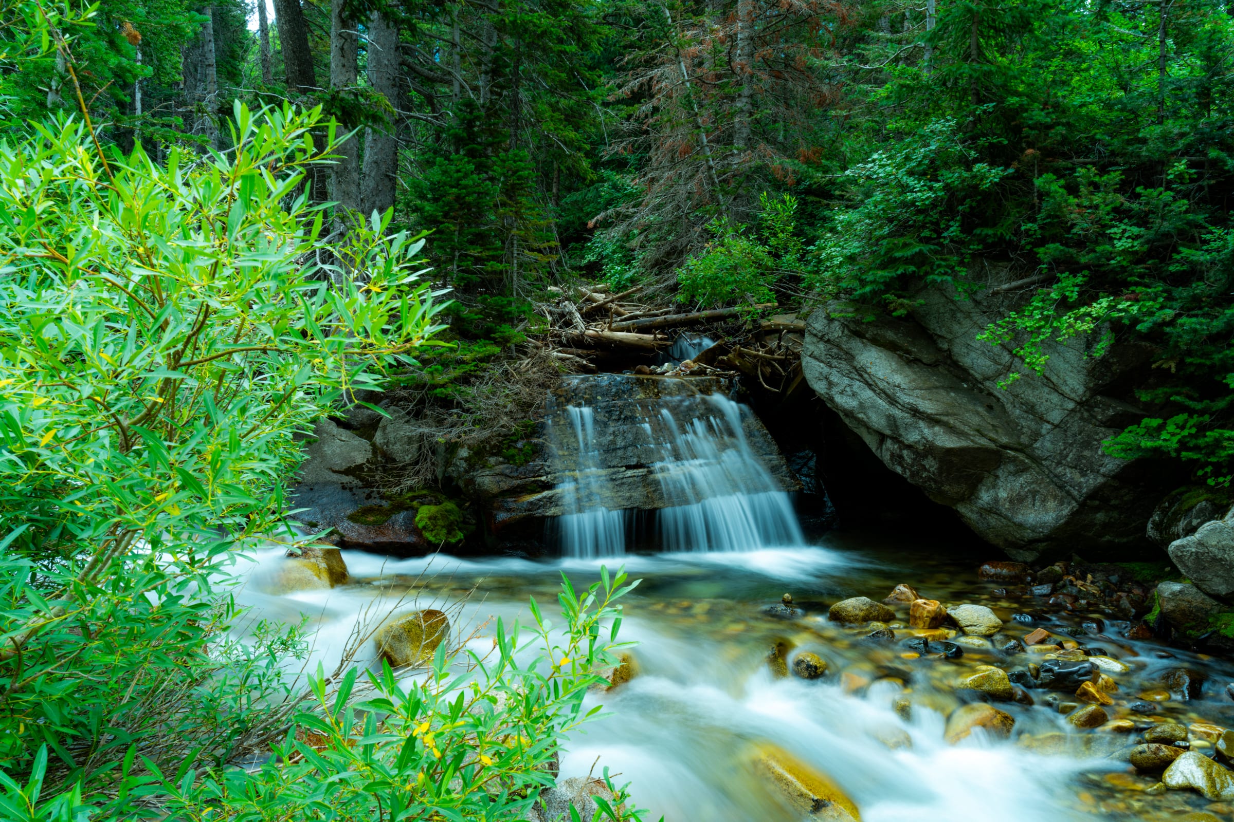 Little Cottonwood Creek Cascade, Little Cottonwood Canyon, Utah