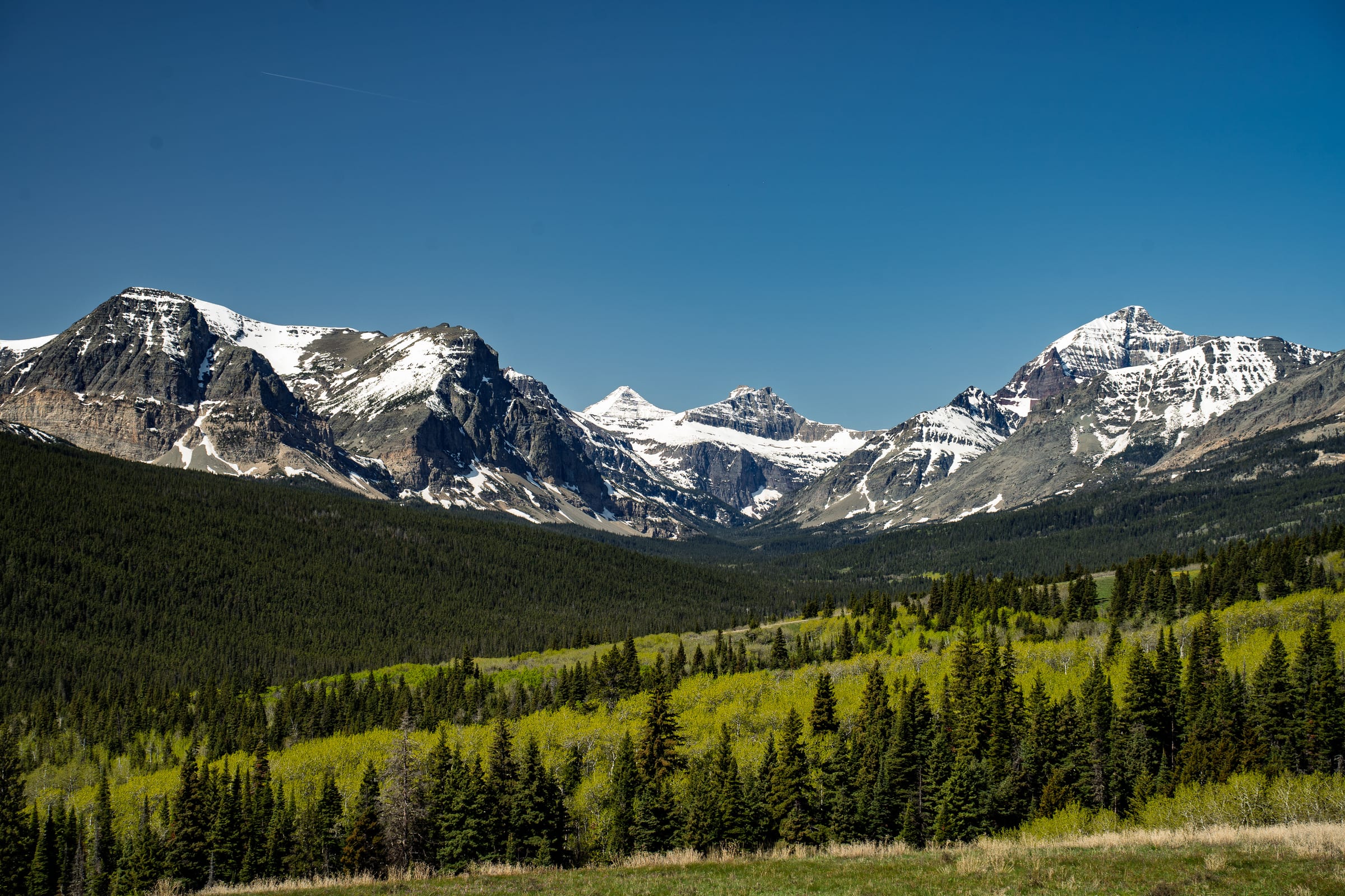Many Glacier Range, Glacier National Park, Montana