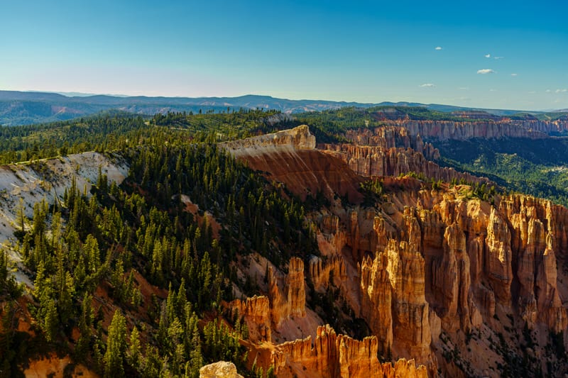 Hoodoos below Rainbow Point, Bryce Canyon National Park, Utah