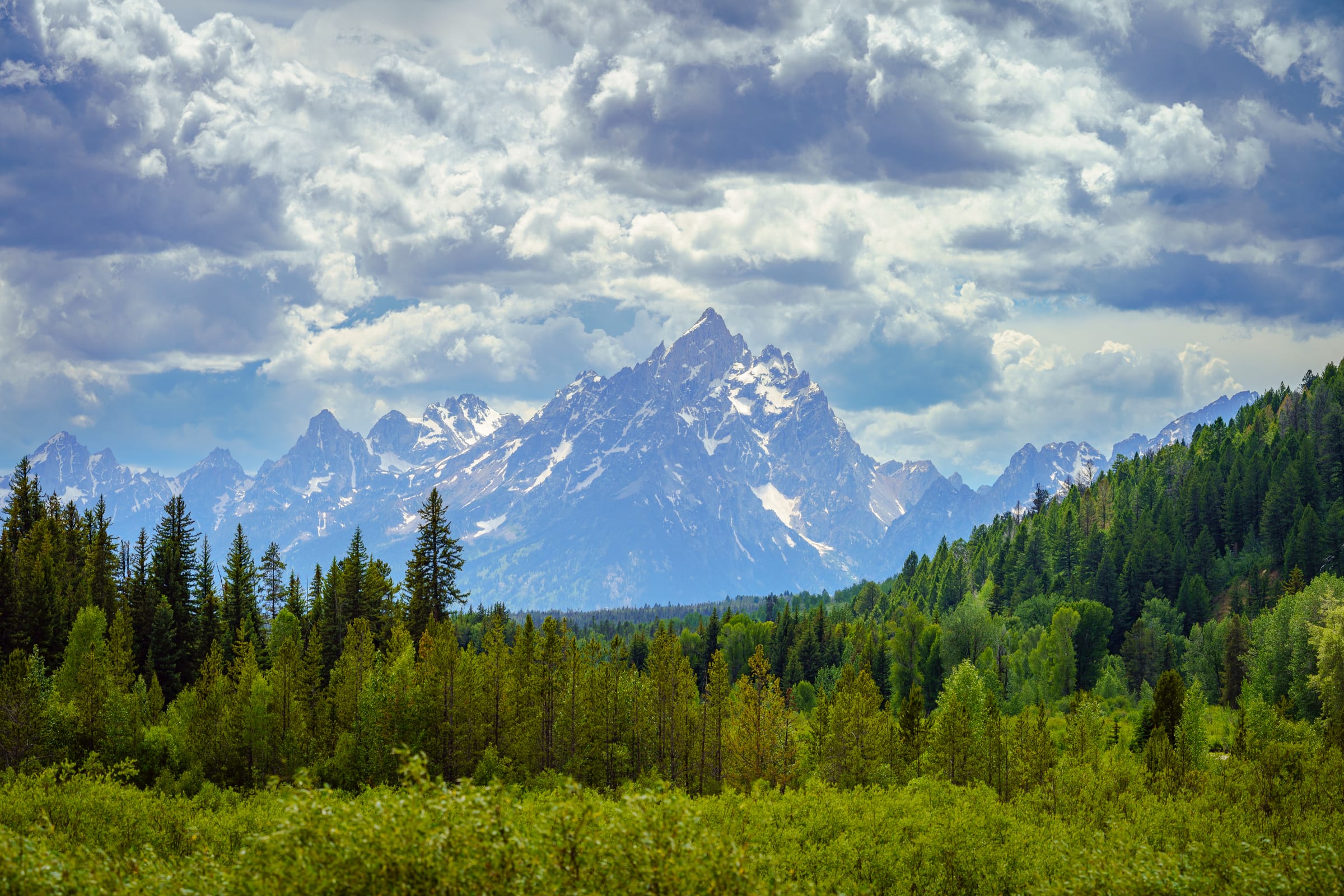 Tetons above the Meadow, Grand Teton National Park, Wyoming