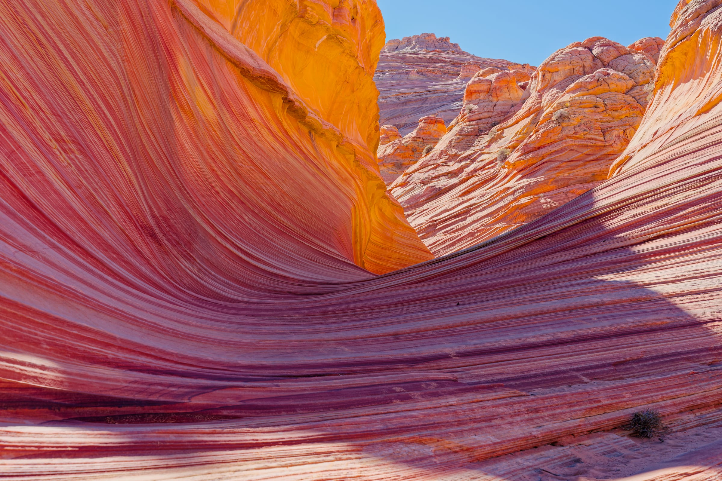 The Wave, Coyote Buttes North, Arizona