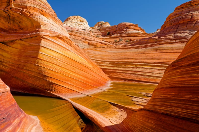The Wave, Pool, Coyote Buttes North, Arizona