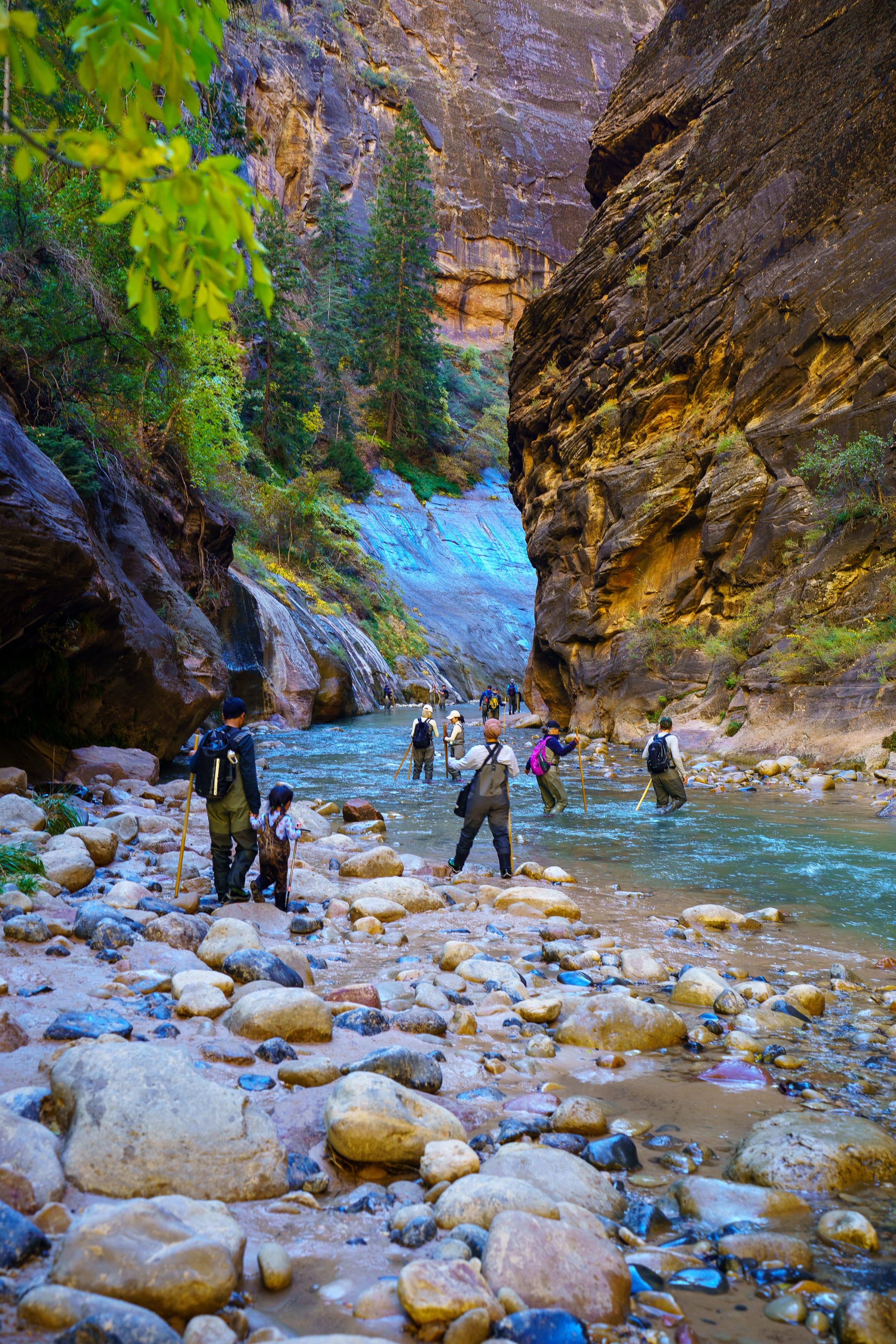Into the Narrows, Zion National Park, Utah
