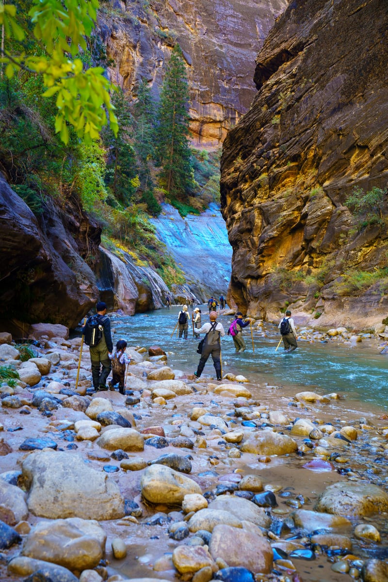 Into the Narrows, Zion National Park, Utah
