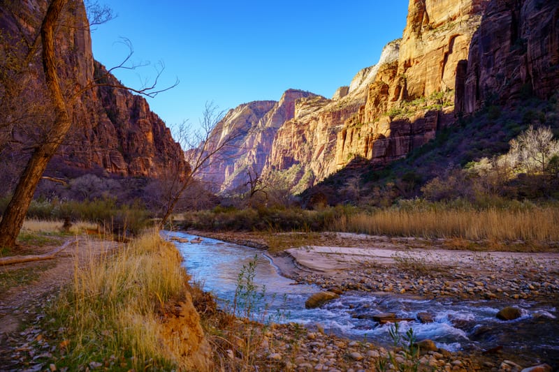 Virgin River in December, Zion National Park, Utah