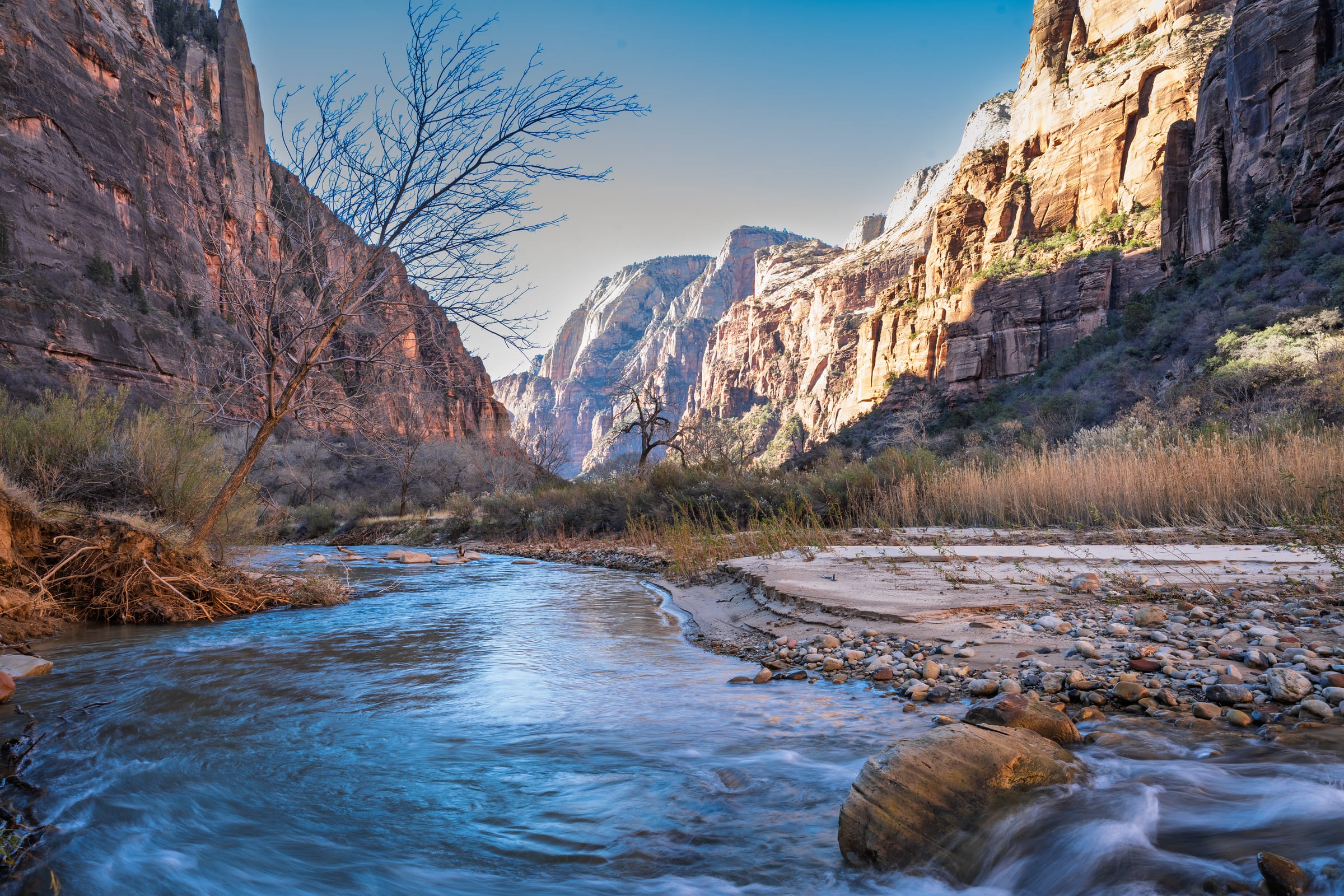 The Virgin River in December, Zion National Park, Utah
