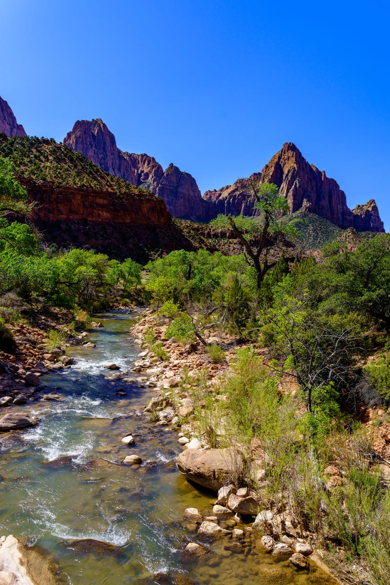 The Watchman and the Virgin River, Zion National Park, Utah
