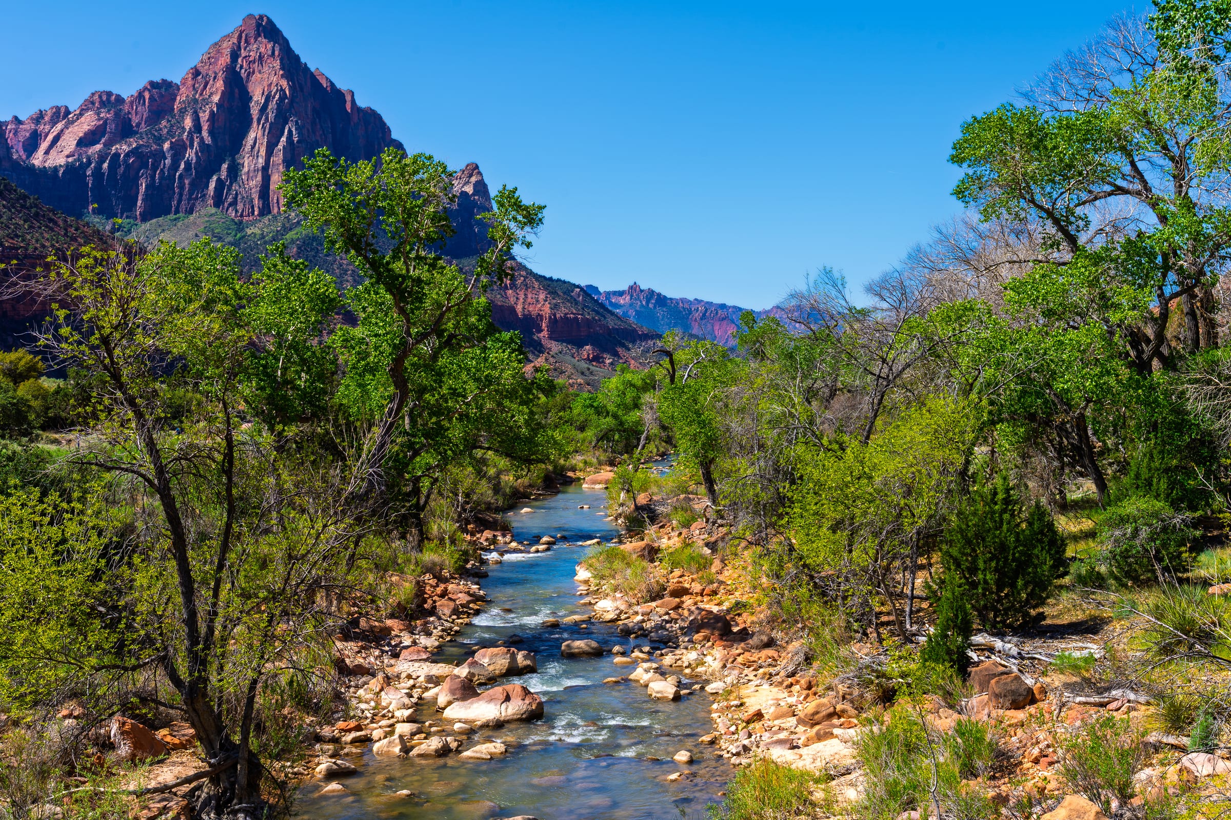 Spring below the Watchman, Zion National Park, Utah